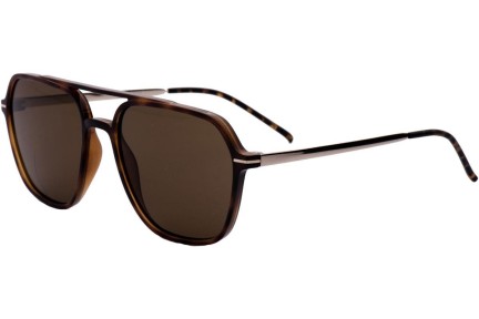 Sonnenbrille OiO by eyerim Keid Havana Pilot Havanna