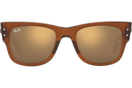 Sunglasses Ray-Ban Mega Wayfarer RB0840S 663693 Quadratisch Braun