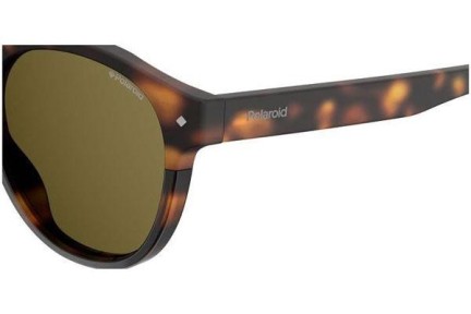 Sonnenbrille Polaroid PLD6042/S 086/SP Polarized Rund Havanna