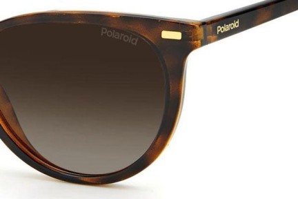 Sunglasses Polaroid PLD4107/S 086/LA Polarized Cat Eye Havanna