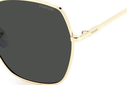 Sunglasses Polaroid PLD6178/G/S RHL/M9 Polarized Quadratisch Gold