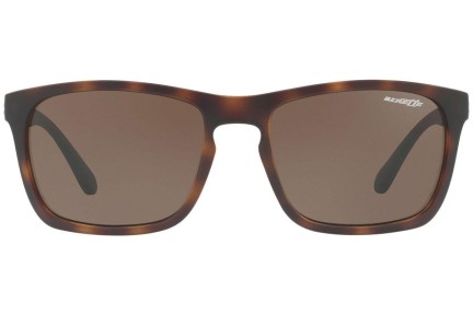 Sonnenbrille Arnette Burnside AN4236 237573 Quadratisch Havanna