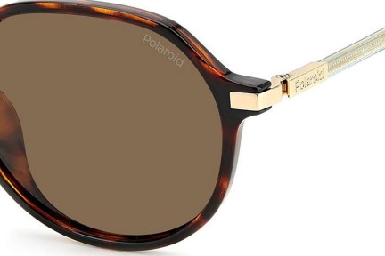 Sonnenbrille Polaroid PLD4149/G/S/X 086/SP Polarized Rund Havanna