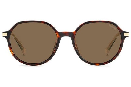 Sonnenbrille Polaroid PLD4149/G/S/X 086/SP Polarized Rund Havanna