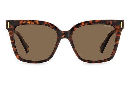 Sonnenbrille Polaroid PLD6192/S 086/SP Polarized Cat Eye Havanna