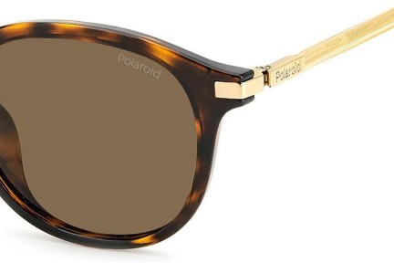 Sonnenbrille Polaroid PLD4148/G/S/X 086/SP Polarized Rund Havanna