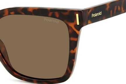 Sunglasses Polaroid PLD6192/S 086/SP Polarized Cat Eye Havanna