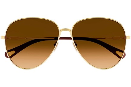 Sonnenbrille Chloe CH0177S 003 Pilot Gold