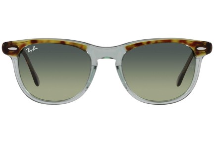 Sonnenbrille Ray-Ban Eagleeye RB2398 1376BH Rund Grün