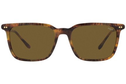 Sonnenbrille Polo Ralph Lauren PH4194U 501773 Quadratisch Havanna