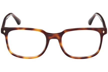 Glasses Web WE5408 052 Quadratisch Havanna