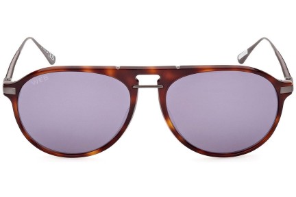 Sonnenbrille Web WE0345 52A Pilot Havanna