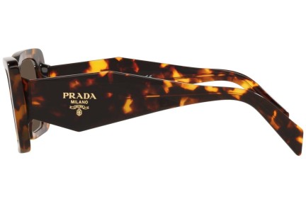 Sonnenbrille Prada PR08YS 01V8C1 Cat Eye Havanna