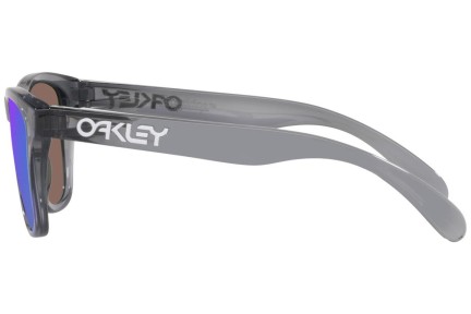 Sunglasses Oakley Frogskins XXS OJ9009-02 Quadratisch Grau