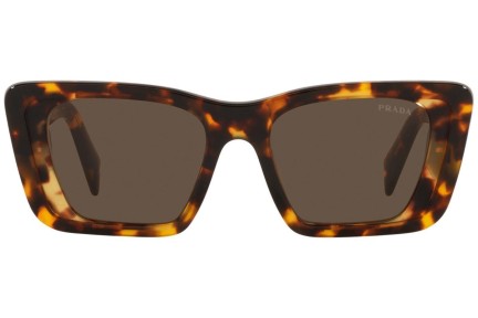 Sonnenbrille Prada PR08YS 01V8C1 Cat Eye Havanna