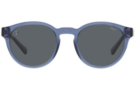 Sunglasses Polo Ralph Lauren PH4192 609287 Rund Blau