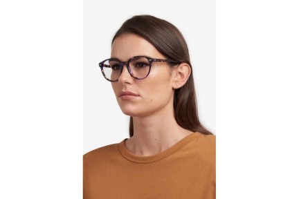 Glasses Carrera CARRERA3010 HKZ Rund Lila