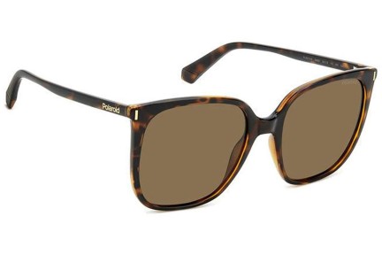 Sonnenbrille Polaroid PLD6218/S 086/SP Polarized Quadratisch Havanna