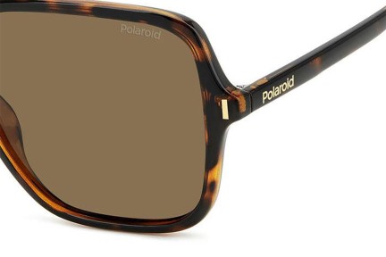 Sonnenbrille Polaroid PLD6219/S 086/SP Polarized Quadratisch Havanna