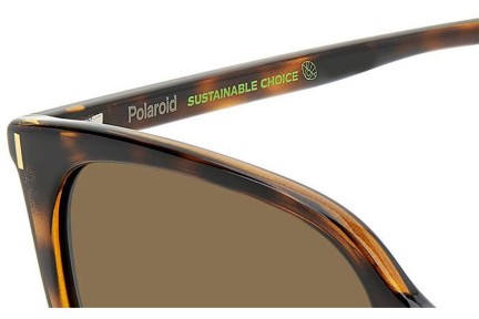 Sunglasses Polaroid PLD6218/S 086/SP Polarized Quadratisch Havanna