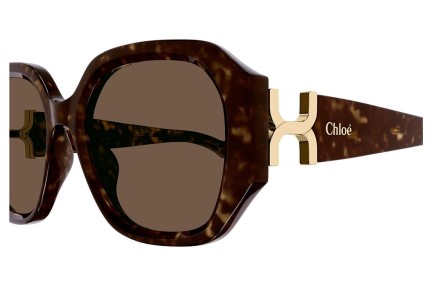 Sonnenbrille Chloe CH0236S 002 Quadratisch Havanna