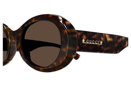 Sunglasses Gucci GG1587S 002 Rund Havanna