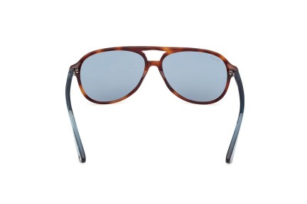 Sunglasses Web WE0368 56V Pilot Havanna