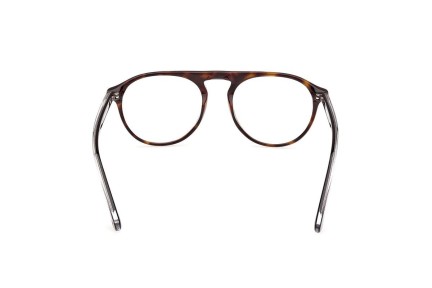 Glasses Web WE5429 055 Rund Havanna