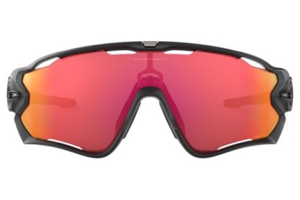 Sunglasses Oakley Jawbreaker OO9290-48 PRIZM Monoscheibe | Shield Schwarz