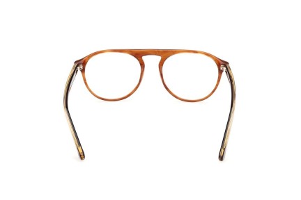 Glasses Web WE5429 047 Rund Braun