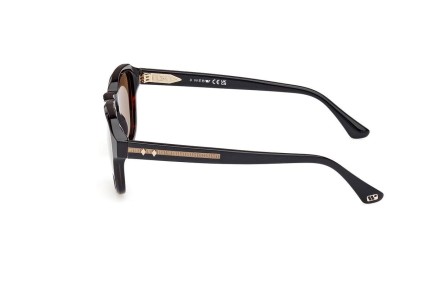 Sonnenbrille Web WE0370 56J Rund Havanna