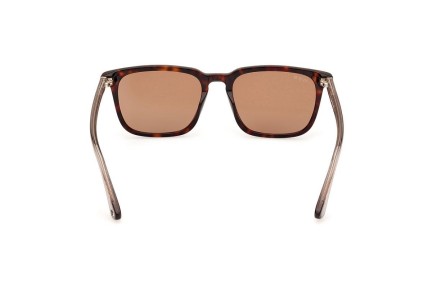 Sonnenbrille Web WE0369 56E Quadratisch Havanna