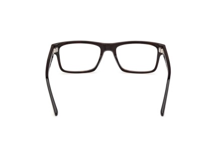 Glasses Web WE5432 056 Quadratisch Havanna