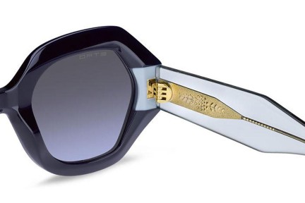 Sunglasses Etro ETRO0009/S PJP/GB Rechteck Blau