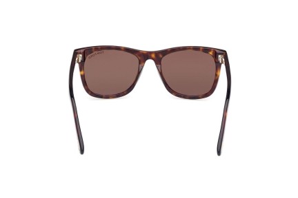 Sunglasses Tom Ford FT1099 52J Quadratisch Havanna