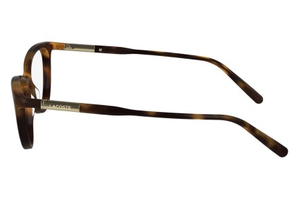 Glasses Lacoste L2952 214 Cat Eye Havanna