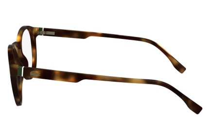 Glasses Lacoste L2950 214 Oval Havanna