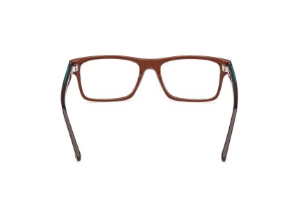 Glasses Web WE5432 052 Quadratisch Havanna