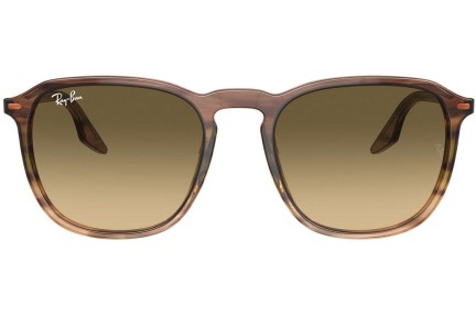 Sunglasses Ray-Ban RB2203 13920A Quadratisch Braun