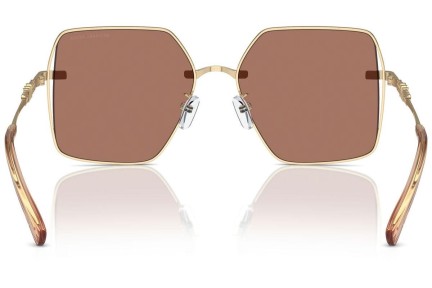 Sunglasses Michael Kors Sanya MK1157D 101403 Quadratisch Gold