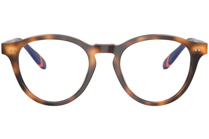 Glasses Polo Ralph Lauren PH2268 6089 Rund Havanna