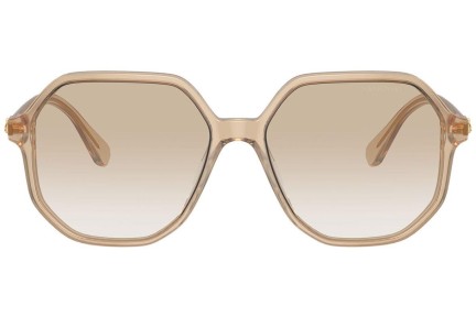 Sunglasses Swarovski SK6003 103411 Besondere Beige