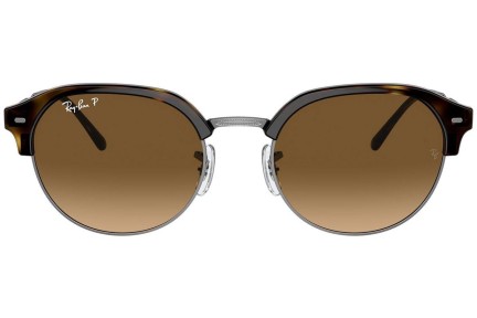 Sonnenbrille Ray-Ban RB4429 710/M2 Polarized Oval Havanna