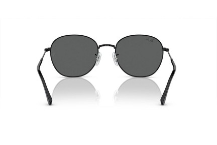 Sunglasses Ray-Ban RB3809 002/B1 Besondere Schwarz