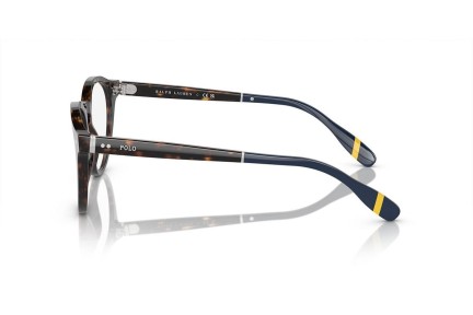 Glasses Polo Ralph Lauren PH2268 5003 Rund Havanna