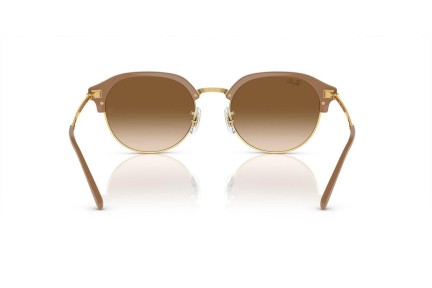 Sunglasses Ray-Ban RB4429 672151 Oval Gold