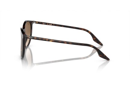 Sonnenbrille Ray-Ban RB2204 902/51 Rund Havanna