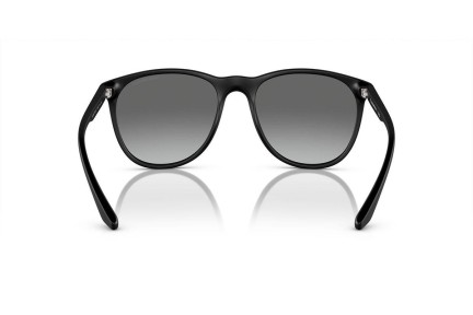 Sunglasses Emporio Armani EA4210 500111 Rund Schwarz