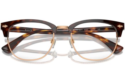 Glasses Polo Ralph Lauren PH2277 6137 Browline Havanna