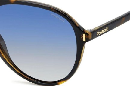 Sunglasses Polaroid PLD6225/S 086/Z7 Polarized Pilot Havanna